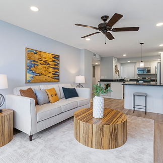 500 osceola photo 10.png