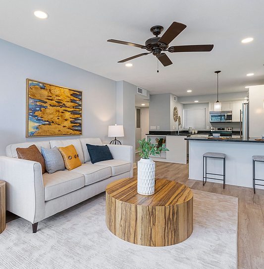 500 osceola photo 10.png